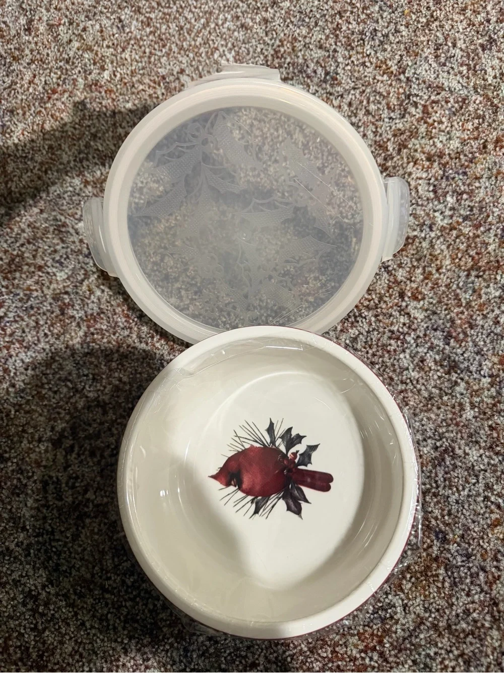 Lenox Winter Greetings Red Cardinal DesignServe & Store with Locking Lid NEW